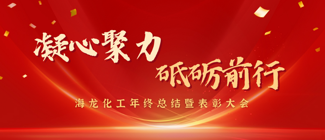 表彰 | 凝心聚力，砥礪前行，海龍化工年終總結暨表彰大會圓滿舉行