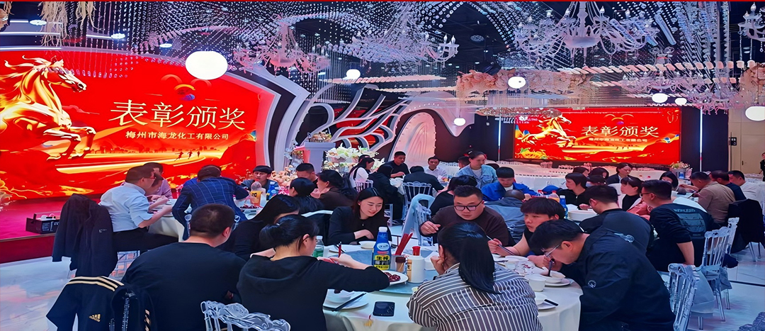 騏驥開道，奮進(jìn)新篇 | 海龍化工2025年終工作總結(jié)表彰暨團(tuán)年晚宴圓滿落幕